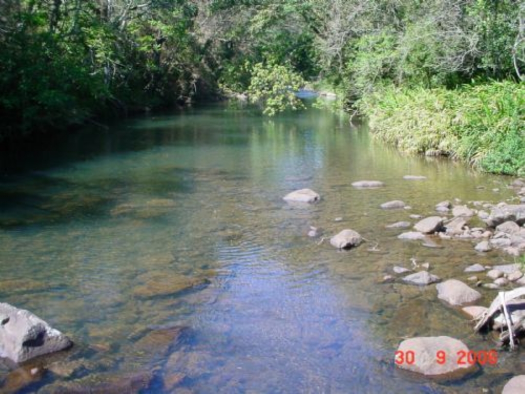 Rio dos Sinos - RS